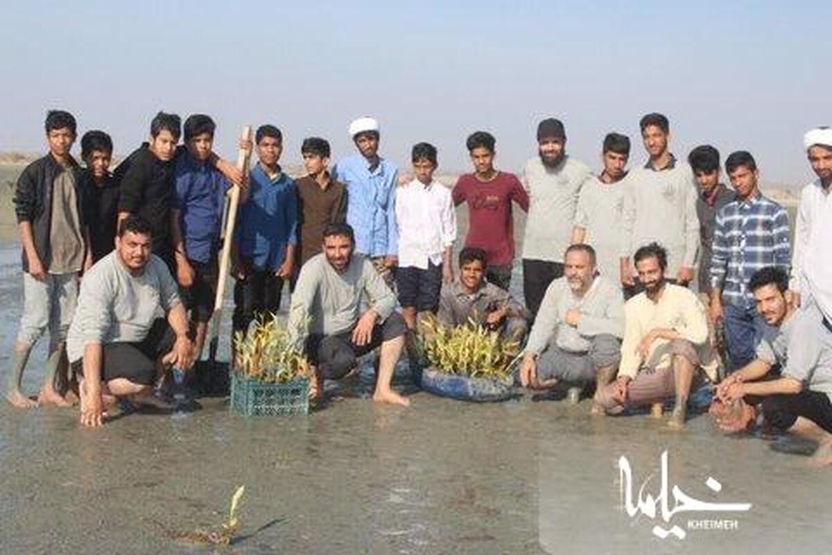 کاشت نهال حرا توسط طلاب در ساحل جاسک انجام شد