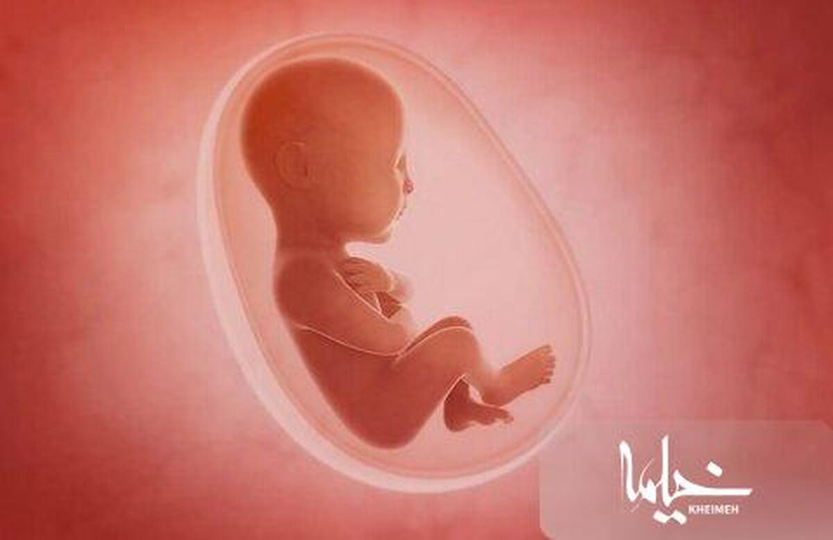 عجایبی از عالم جنین در شکم مادر بدانیم