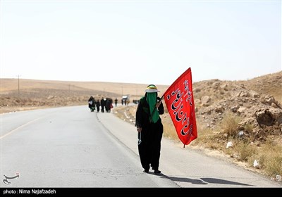 زائران پیاده امام رضا (ع)