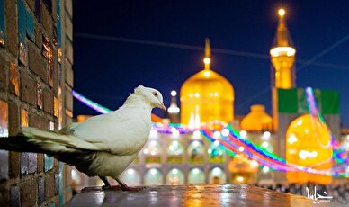 مشهدی رمضان؛ قصابی که میهمان ویژه امام رضا(ع) شد