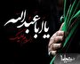 کتابهای معرفتی نهضت حسینی در عصر حاضر