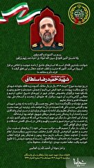 پیام تقدیر خانواده سردار شهید حمیدرضا سلطانی